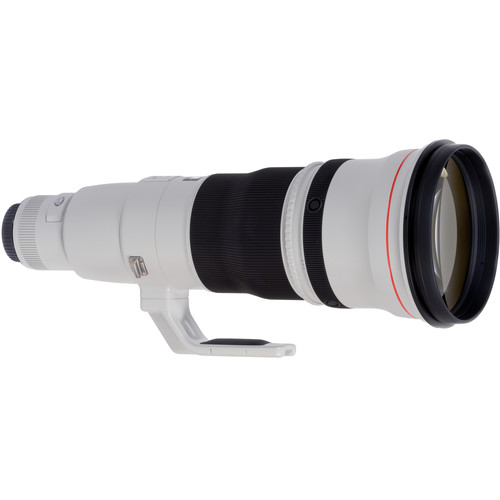 Canon EF 600mm f/4L IS USM Lens